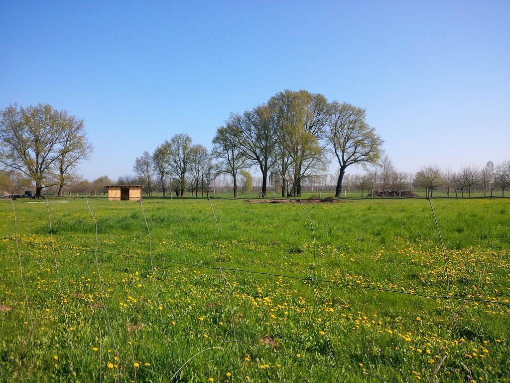 Ferienhof Idyll Am Kleinen Fliess Burg  Buitenkant foto