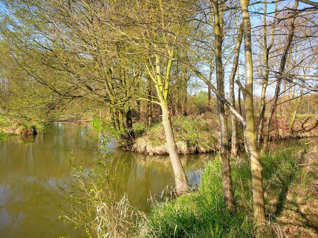 Ferienhof Idyll Am Kleinen Fliess Burg  Buitenkant foto
