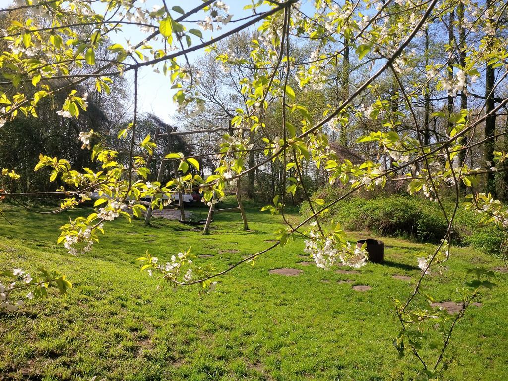 Ferienhof Idyll Am Kleinen Fliess Burg  Buitenkant foto