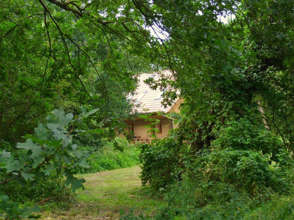 Ferienhof Idyll Am Kleinen Fliess Burg  Buitenkant foto