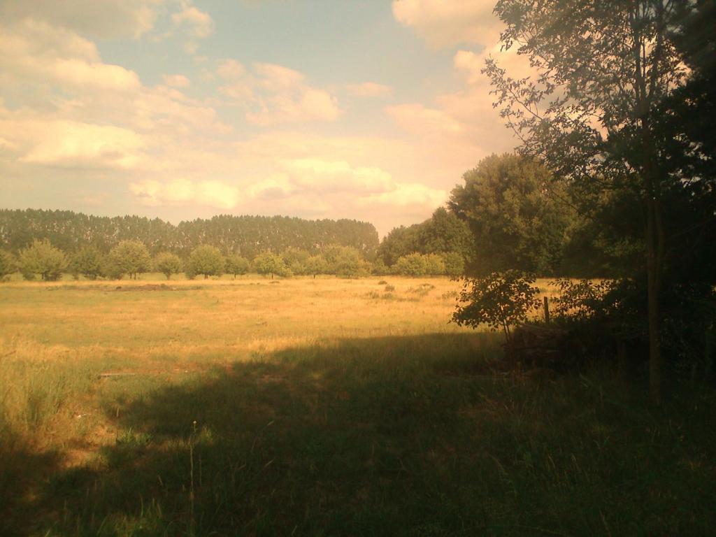 Ferienhof Idyll Am Kleinen Fliess Burg  Buitenkant foto