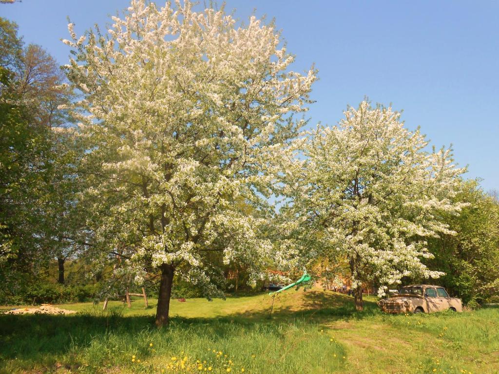 Ferienhof Idyll Am Kleinen Fliess Burg  Buitenkant foto